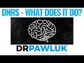 Dynamic Neural Retraining System - Does DNRS Work?