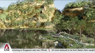 Enhancements to Bukit Batok Nature Corridor to help wildlife flourish