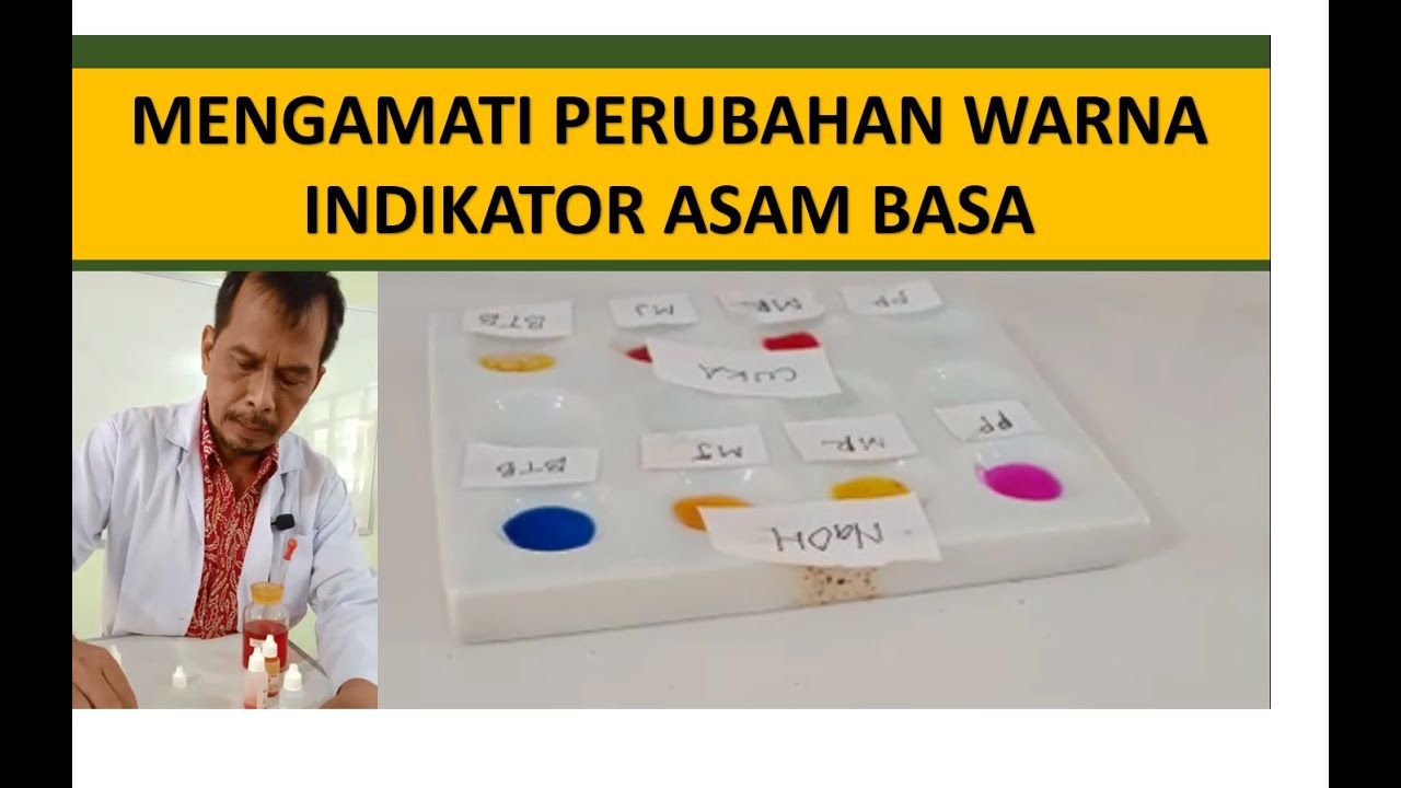 MENGAMATI PERUBAHAN WARNA INDIKATOR ASAM BASA - YouTube