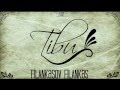 TiBu (KM Family) - 