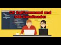 Part 2 (c# sql database tutorial) - SqlCommand and SqlDataReader (c# sql Server)