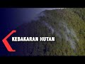 Hutan di Lingkar Danau Toba Terbakar