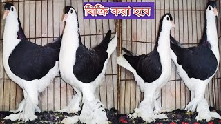 লাহোরি বিক্রি করা হবে।