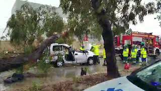 Siġra tinqala' minn postha fl-Imrieħel - raġel jitlef ħajtu u mara għall-kura l-isptar