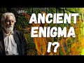 The Ancient History Enigma: Indus Valley Civilization | Secrets Unveiled !?