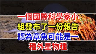 一個國際科學家小組發佈了一份報告，認為章魚可能是一種外星物種，[科學探索]