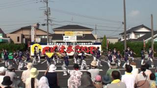 炎～ほむら～　～2013斐川だんだんよさこい祭(ゆめタウン斐川)