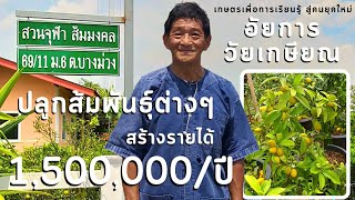 อัยการวัย74ปี เกษียณ มาปลูกส้มพันธุ์ต่างๆ สร้างรายได้หลังเกษียณ1,500,000 บาทต่อปี ชีวิตมีความสุข