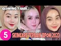 5 TOP Skincare Terbaik 2023 BPOM || Temulawak The Face, Skintific , Animate‼️Aman Bikin Glowing ✅