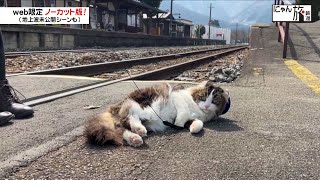 Vol.149「にゃん旅鉄道」気持ちいい陽気だにゃ♪【らぶ駅長】【ねこ駅長】【アテンダントさくら】【会津鉄道・芦ノ牧温泉駅】