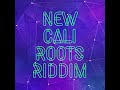 new cali roots riddim 2023 full album mix by @djryza