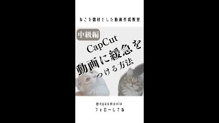 【CapCut】中級編：動画に緩急つけておしゃれに