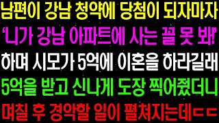 실화사연- 남편이 강남 청약에 당첨이 되자마자 '니가 강남 아파트에 사는 꼴 못 봐' 하며 시모가 5억 줄테니 이혼 하라는데../ 라디오사연/ 썰사연/사이다사연/감동사연