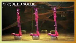 OVO by Cirque du Soleil - Ants Act | Cirque du Soleil