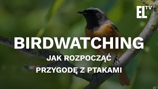 BIRDWATCHING. Jak rozpocząć przygodę z ptakami