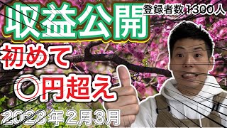 【チャンネル登録者数1300人】YouTube収益公開！2023年2月3月！これがキャンプ系YouTuberの現実だ！【662】