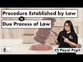 How PROCEDURE ESTABLISHED BY LAW different from  DUE PROCESS OF LAW?