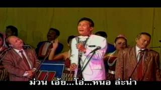 รวมเพลงเด็ดเพชรพิณทอง ชุด2