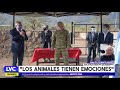 #LVC2 - El Gobernador de Jujuy entregó 20 llamas al Ejercito Argentina