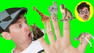 Finger Family Song - Wild Animals Part 2 with Matt | Learning Animals Names | Learn English Kids