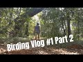 Birding Vlog #1 Dlinza Forest Part 2 | The Birding Life