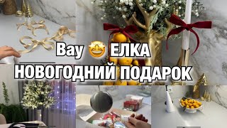 ПОСЛЕДНИЙ ОСЕННИЙ ВЛОГ! ВАУ! МАНДАРИНОВАЯ ЕЛКА! ИДЕЯ НОВОГОДНЕГО ПОДАРКА! Будни Мамы Влог