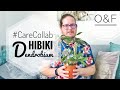 Dendrobium Hibiki Orchid Care #CareCollab