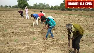 રાજુભાઈ પર વીજળી પડી રિયલ કોમેડી વિડીયો