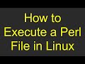 How to Execute a Perl File in Linux