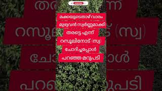 സമദാനി/മക്ക മുഴുവൻ സ്വർണ്ണമാക്കി തരട്ടെ എന്ന് റസൂലിനോട്(സ്വ) ചോദിച്ചപ്പോൾ പറഞ്ഞത്