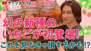 【TVで話題沸騰！】お店で大人気の国産ドライフルーツ！入手困難なドライイチゴ🍓