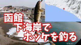 函館下海岸でホッケを釣る【函館 釣り 海釣り初心者】