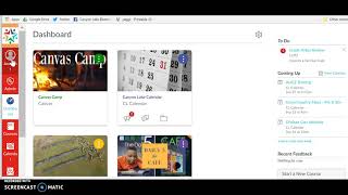 Changing Time Zones in Canvas