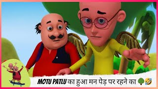 Motu Patlu का हुआ मन पेड़ पर रहने का 🌳🤣 | Motu Patlu | मोटू पतलू