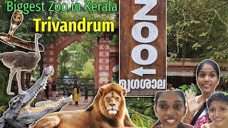 Biggest Zoo in Kerala | തിരുവനന്തപുരം മൃഗശാല | Trivandrum Zoo                     #video #omyfamily