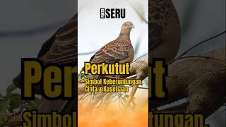 Perkutut Simbol Keberuntungan?