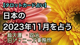 日本の2023年11月の運勢をタロットカードで占う【全体運・政治・ジャニーズ事務所】