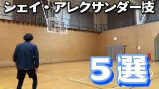 シンプルが最強！SGA技5選！#バスケ #バスケテクニック ＃シェイアレクサンダー＃nba#basketball