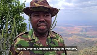 Preserving the Mukogodo Forest   Laikipia Conservancies Association