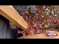 how to extend an existing wooden deck step by step diy extending deck with a cover for a hot tub