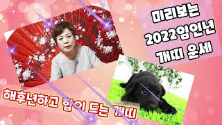 미리보는 2022임인년 개띠운세