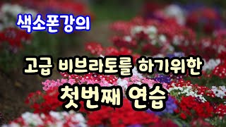 고급스런 색소폰비브라토를 위한 첫번째 강의