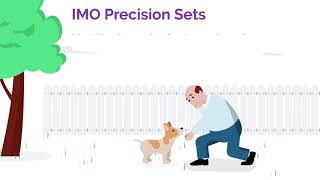 What is IMO Precision Sets?