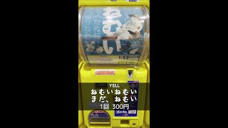 【YELL】ねむいねむいまだねむい【1回300円】 #shorts