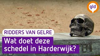 Stadsmuseum Harderwijk is vernieuwd (28 juni 2021) E25 - S08 * Ridders van Gelre