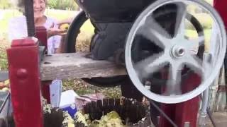 Cider Pressing 2016