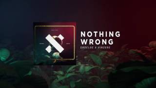 DROELOE - Nothing Wrong (Official Audio)