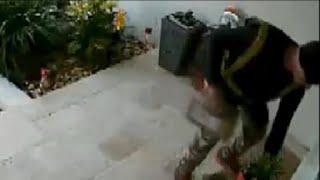 UPS employee delivers package containing iPhone X in Pinellas, goes back to steal it