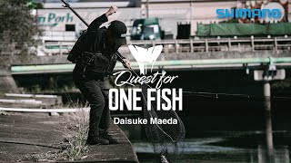 Quest for ONE FISH / 秋の大阪湾流入河川でシーバスを追う前田大介の“リアルシーバス”