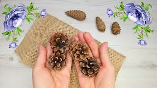 🎀 Super decor idea with a few pine cones and jute fabric!